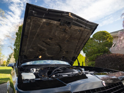 745-Mile 1987 Chevrolet Monte Carlo SS AEROCOUPE Photo Gallery — Photo 294