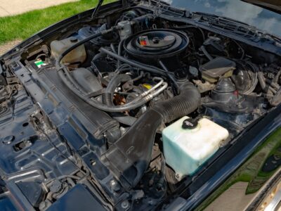 62K-Mile 1985 Pontiac Trans Am Photo Gallery — Photo 71