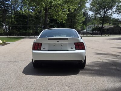 17K-Mile 2003 Ford Mustang SVT Cobra Coupe Photo Gallery — Photo 15