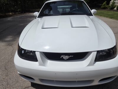 17K-Mile 2003 Ford Mustang SVT Cobra Coupe Photo Gallery — Photo 69