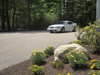 17K-Mile 2003 Ford Mustang SVT Cobra Coupe Photo Gallery — Photo 38