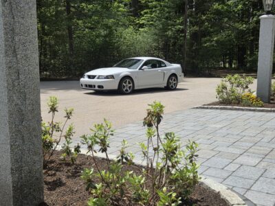 17K-Mile 2003 Ford Mustang SVT Cobra Coupe Photo Gallery — Photo 40