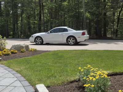 17K-Mile 2003 Ford Mustang SVT Cobra Coupe Photo Gallery — Photo 42