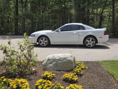 17K-Mile 2003 Ford Mustang SVT Cobra Coupe Photo Gallery — Photo 41