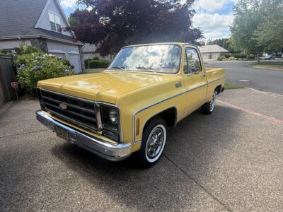 28K-Mile 1979 Chevrolet C-10 Custom Deluxe Photo Gallery — Photo 12