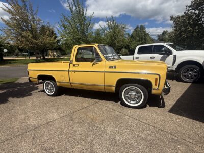 28K-Mile 1979 Chevrolet C-10 Custom Deluxe Photo Gallery — Photo 11