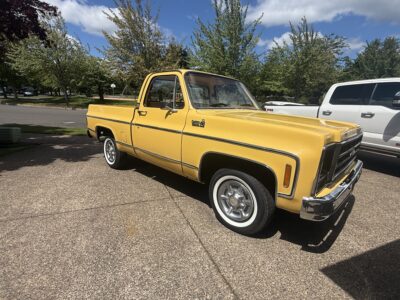 28K-Mile 1979 Chevrolet C-10 Custom Deluxe Photo Gallery — Photo 10