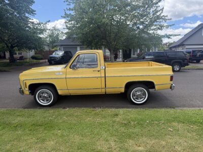 28K-Mile 1979 Chevrolet C-10 Custom Deluxe Photo Gallery — Photo 5