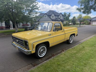 28K-Mile 1979 Chevrolet C-10 Custom Deluxe Photo Gallery — Photo 6