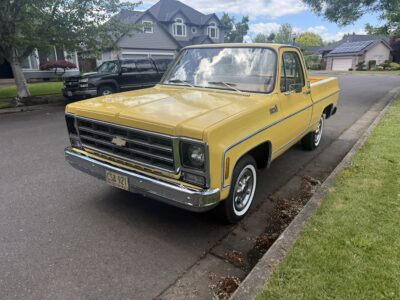 28K-Mile 1979 Chevrolet C-10 Custom Deluxe Photo Gallery — Photo 7