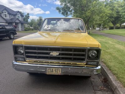 28K-Mile 1979 Chevrolet C-10 Custom Deluxe Photo Gallery — Photo 8