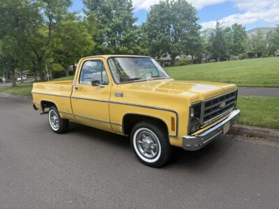 28K-Mile 1979 Chevrolet C-10 Custom Deluxe Photo Gallery — Photo 1