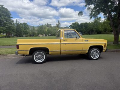 28K-Mile 1979 Chevrolet C-10 Custom Deluxe Photo Gallery — Photo 2