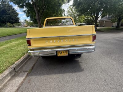 28K-Mile 1979 Chevrolet C-10 Custom Deluxe Photo Gallery — Photo 3