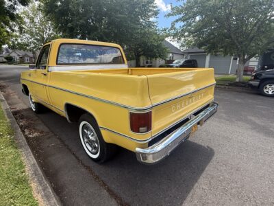 28K-Mile 1979 Chevrolet C-10 Custom Deluxe Photo Gallery — Photo 4