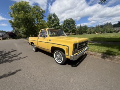 28K-Mile 1979 Chevrolet C-10 Custom Deluxe Photo Gallery — Photo 127