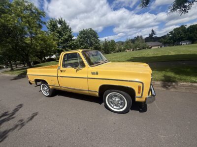 28K-Mile 1979 Chevrolet C-10 Custom Deluxe Photo Gallery — Photo 128