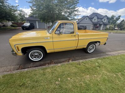 28K-Mile 1979 Chevrolet C-10 Custom Deluxe Photo Gallery — Photo 129