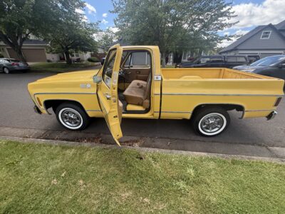 28K-Mile 1979 Chevrolet C-10 Custom Deluxe Photo Gallery — Photo 13