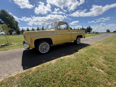28K-Mile 1979 Chevrolet C-10 Custom Deluxe Photo Gallery — Photo 132