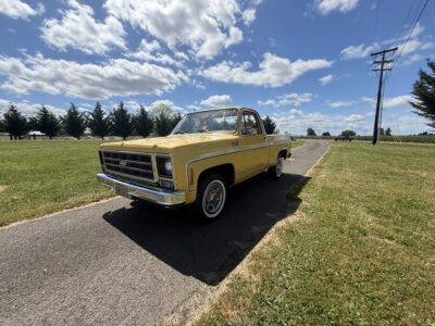 28K-Mile 1979 Chevrolet C-10 Custom Deluxe Photo Gallery — Photo 133