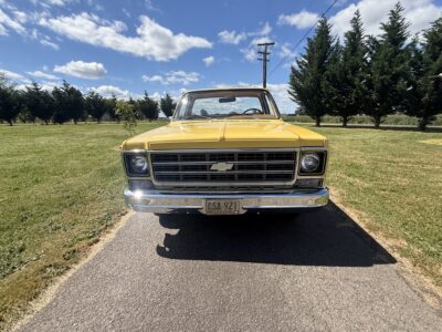 28K-Mile 1979 Chevrolet C-10 Custom Deluxe Photo Gallery — Photo 130