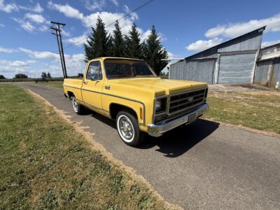28K-Mile 1979 Chevrolet C-10 Custom Deluxe Photo Gallery — Photo 134