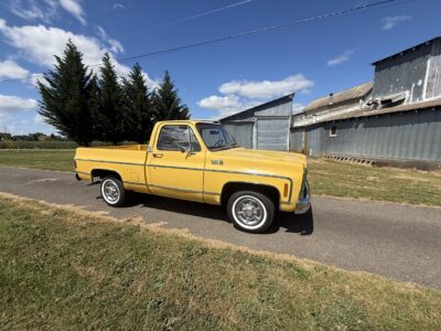 28K-Mile 1979 Chevrolet C-10 Custom Deluxe Photo Gallery — Photo 135