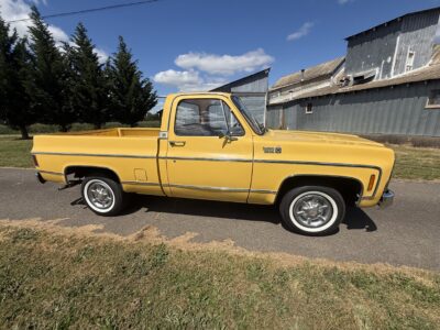 28K-Mile 1979 Chevrolet C-10 Custom Deluxe Photo Gallery — Photo 137