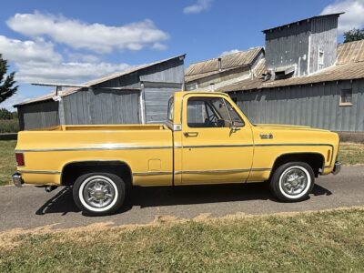 28K-Mile 1979 Chevrolet C-10 Custom Deluxe Photo Gallery — Photo 138