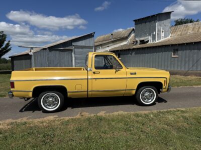 28K-Mile 1979 Chevrolet C-10 Custom Deluxe Photo Gallery — Photo 139