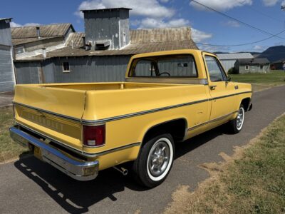 28K-Mile 1979 Chevrolet C-10 Custom Deluxe Photo Gallery — Photo 140