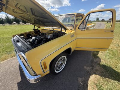 28K-Mile 1979 Chevrolet C-10 Custom Deluxe Photo Gallery — Photo 143