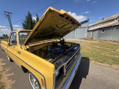 28K-Mile 1979 Chevrolet C-10 Custom Deluxe Photo Gallery — Photo 145