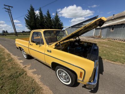 28K-Mile 1979 Chevrolet C-10 Custom Deluxe Photo Gallery — Photo 144