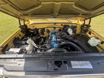 28K-Mile 1979 Chevrolet C-10 Custom Deluxe Photo Gallery — Photo 54