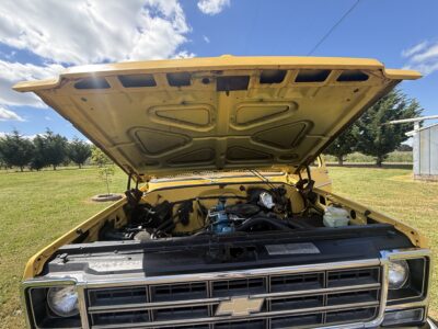 28K-Mile 1979 Chevrolet C-10 Custom Deluxe Photo Gallery — Photo 52