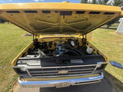 28K-Mile 1979 Chevrolet C-10 Custom Deluxe Photo Gallery — Photo 53