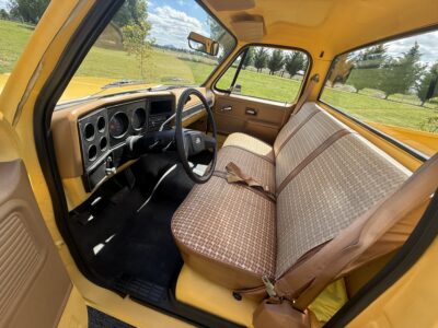 28K-Mile 1979 Chevrolet C-10 Custom Deluxe Photo Gallery — Photo 24