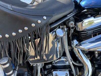 83-Mile 2000 Indian Chief Photo Gallery — Photo 25