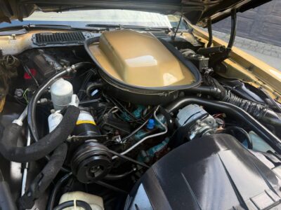 26K-Mile 1978 Pontiac Trans Am W72 400 4 Speed Photo Gallery — Photo 42