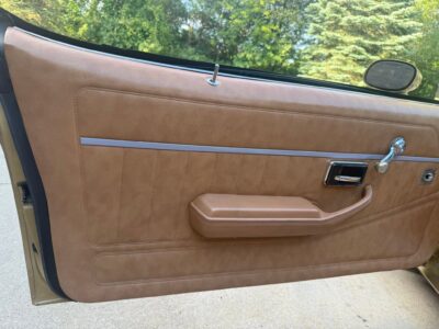 26K-Mile 1978 Pontiac Trans Am W72 400 4 Speed Photo Gallery — Photo 16
