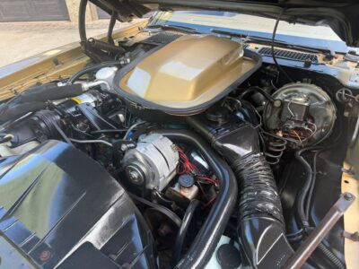 26K-Mile 1978 Pontiac Trans Am W72 400 4 Speed Photo Gallery — Photo 41