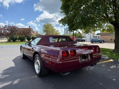 8K-Mile 1993 Chevrolet Corvette Convertible 40th Anniversary Photo Gallery — Photo 4